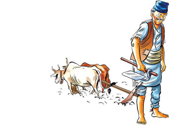 देशभर करिब ५८ प्रतिशत किसान सूचीबद्ध